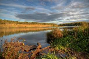 Музей "Ясная поляна"